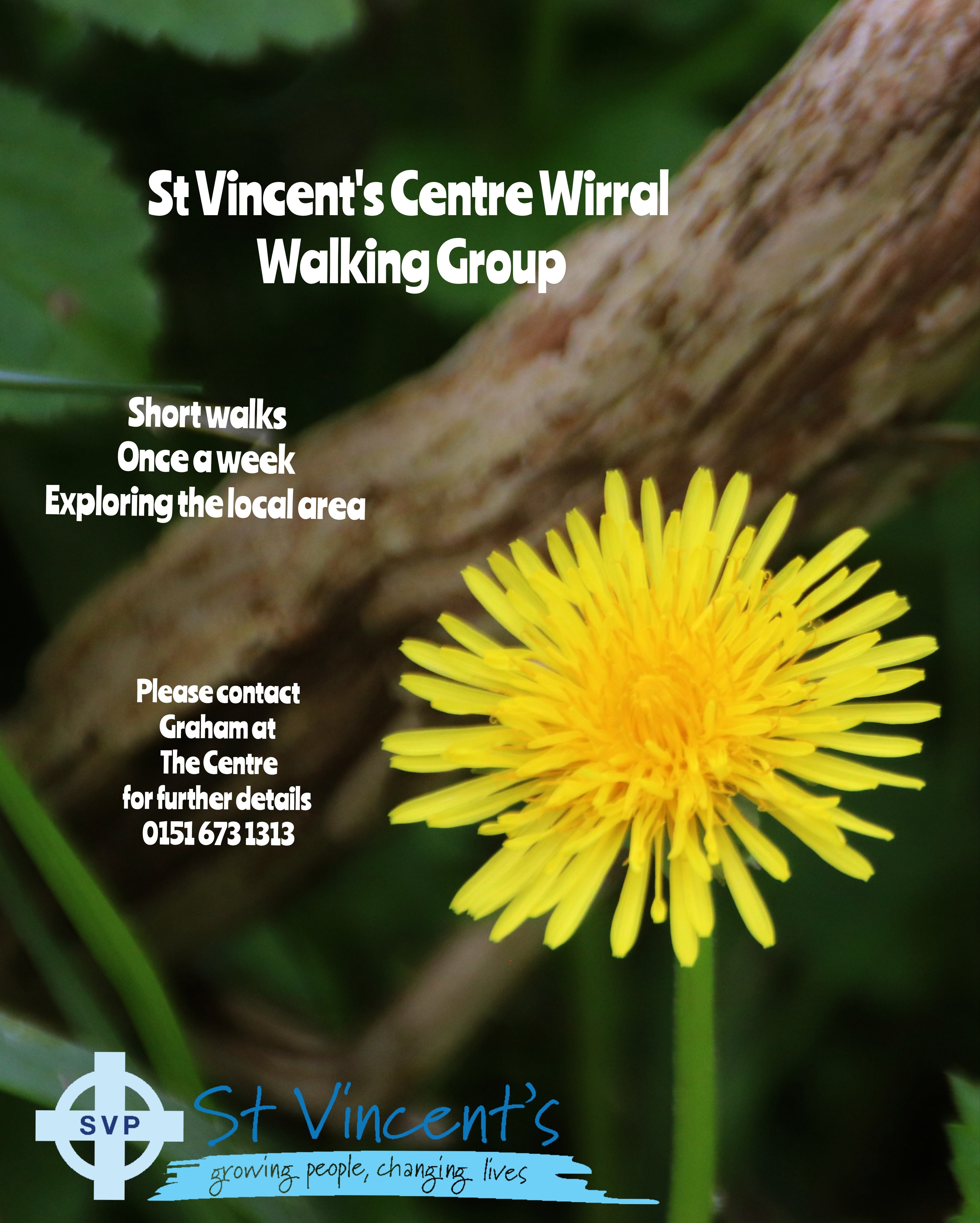 Details of upcoming walks from the centre