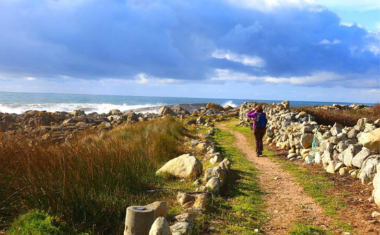 Coastal walking path