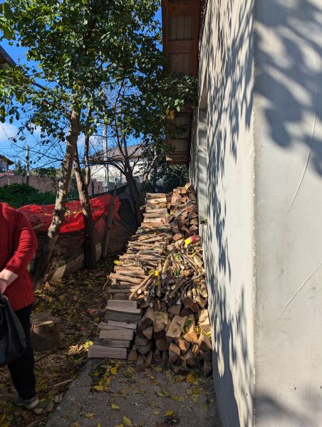 Pile of firewood next to a house